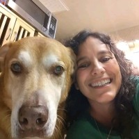 Shawn Tollari's profile photo