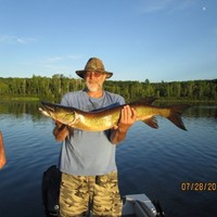 David Brown Email & Phone Number