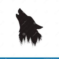 PG Calc Employee Dave Wolfe's profile photo