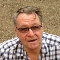 Bernie Stein