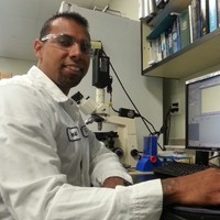 City of Venice, Florida Employee Rafael Soler Jr's profile photo