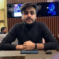 Knowledge Streams Employee Waleed Mahmood's profile photo