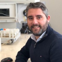 Ingechim srl Employee Roberto Feo's profile photo