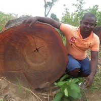 The Camwood Group Employee Camsun Aliyu's profile photo