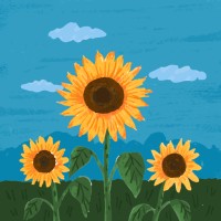 USX Employee Devyn Shugerts's profile photo