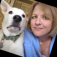 Total Veterinary Care® Employee Allison Jones's profile photo