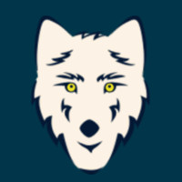 Synacktiv Employee Simon G's profile photo
