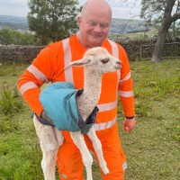 Stuart Currie Email