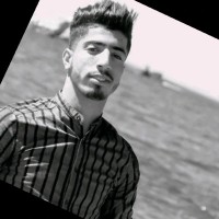 Taher Belabassi's profile photo
