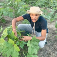 Feed the Future Employee Abubakari Msangi's profile photo