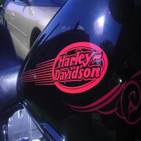 Vinnie Clemente Email & Phone Number