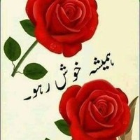 THREE STAR Employee Waseem Baloch's profile photo