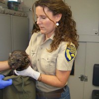 Deana Clifford Email & Phone Number