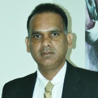 New Gold Inc. Employee Suresh Kalathil's profile photo