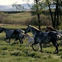 Ez Storage Employee Terry Bryson's profile photo