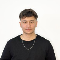Enzo Santilli Email