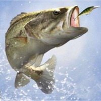 Retired Employee Mike Overton's profile photo