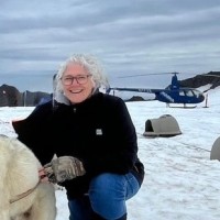 Michigan Turkey Producers Employee Tina Conklin's profile photo