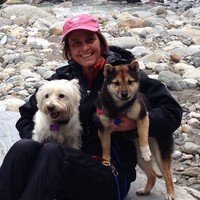 Manufacturing Solutions, Inc. (MSI) Employee Dana Wing's profile photo