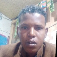 EveryWarrior Employee Maxed Omar's profile photo