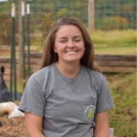 Amanda Webb Email & Phone Number