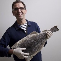 CleanFish Employee Karim MacHi's profile photo