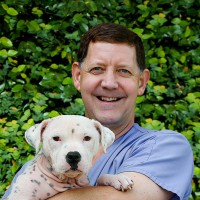 Stewart Ryan Email & Phone Number