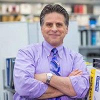 Renaissance Global Services, LLC (Service-Disabled Veteran Owned Small Business) Employee S Catapano's profile photo