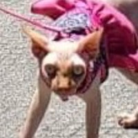 Magic Soup Games Employee Brys Sepulveda's profile photo