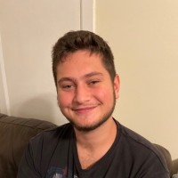 Geometric Progress LLC Employee David Rabinovich's profile photo
