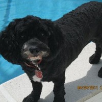 Lee County School District Employee Pat Hilton's profile photo