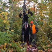 Dave MacOmber Email & Phone Number