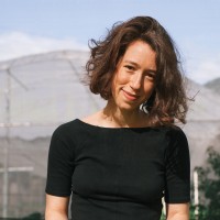 Carol Perdigão Email