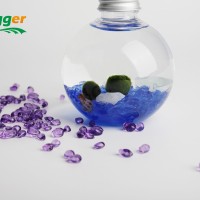 Hygger Employee Yiky Chan's profile photo