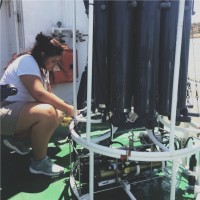 Miriam Mestre Durán's profile photo