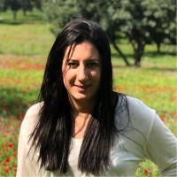 Israeli Air Force Employee Shaham Bear's profile photo