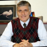 Tayfun Uzbay Email