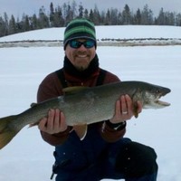 CASE AV Employee Mike Scherr's profile photo