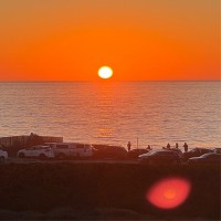 Stephen Whyte Email & Phone Number