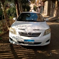 ALFA Ceramic Employee Amir Shalan's profile photo