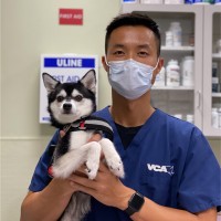 Darren Yang Email & Phone Number