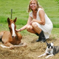 Virginia Cooperative Extension (Official) Employee Sandy Stoneman's profile photo