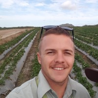 Bugs for Bugs Employee Fraser Harris's profile photo