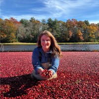 Ocean Spray Cranberries Employee Wendy Gallerani's profile photo