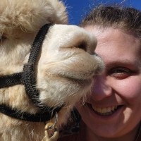 YWCA Richmond Employee Rachel Enders's profile photo