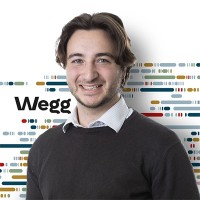 Fabio Chiappini Email