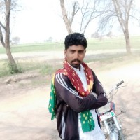 IT Company Employee Malik Majeed's profile photo