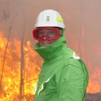 Depi Employee Mark's profile photo
