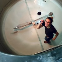 Gordon Biersch Brewing Company Employee Katy Benson's profile photo