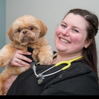 Arlington Animal Clinic Employee Madelyn Stevenson's profile photo